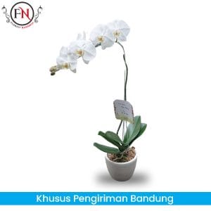 toko karangan bunga bandung, karangan bunga bandung murah, toko bunga papan bandung, bunga papan bandung